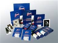 FOMASPEED 311 SP 50,8x61 CM/10 KS