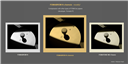 fomabrom_n_chamois_pr_comparasion_still-life_01_m