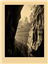 fomabrom_n_chamois_pr_landscape_m